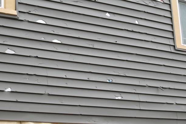 Affordable siding repair and maintenance services in Albion, IN